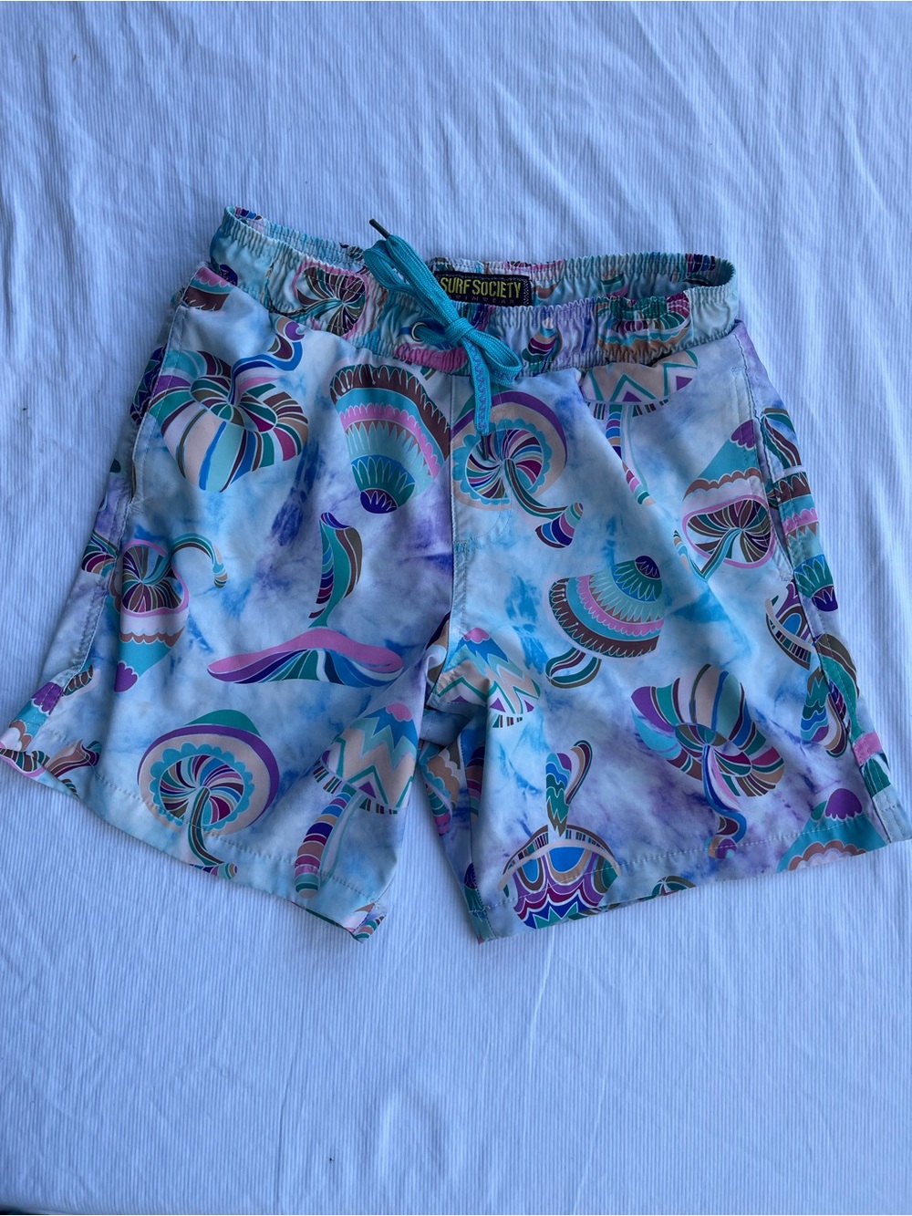 Surf Society Mens Mushroom Print Swim Shorts Teal Purple Pink Small